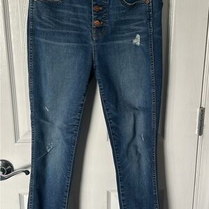 Madewell Classic Denim Skinny Jeans